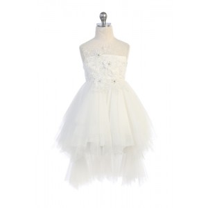 Embellished Appliqué Detachable Skirt Dress